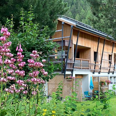 Chalet Walser A Vallorcine 13 Kms Chamonix France Dış mekan fotoğraf