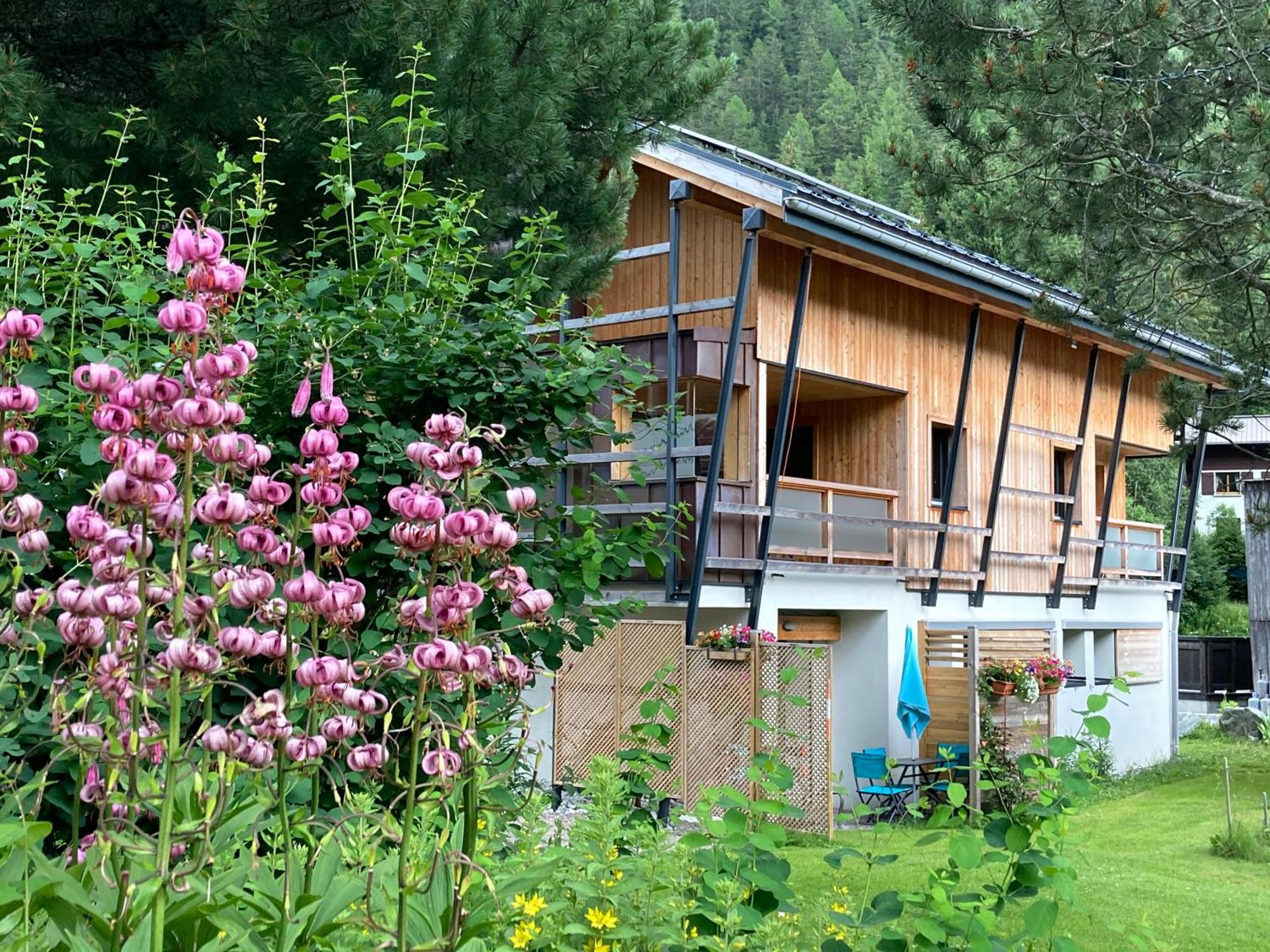 Chalet Walser A Vallorcine 13 Kms Chamonix France Dış mekan fotoğraf