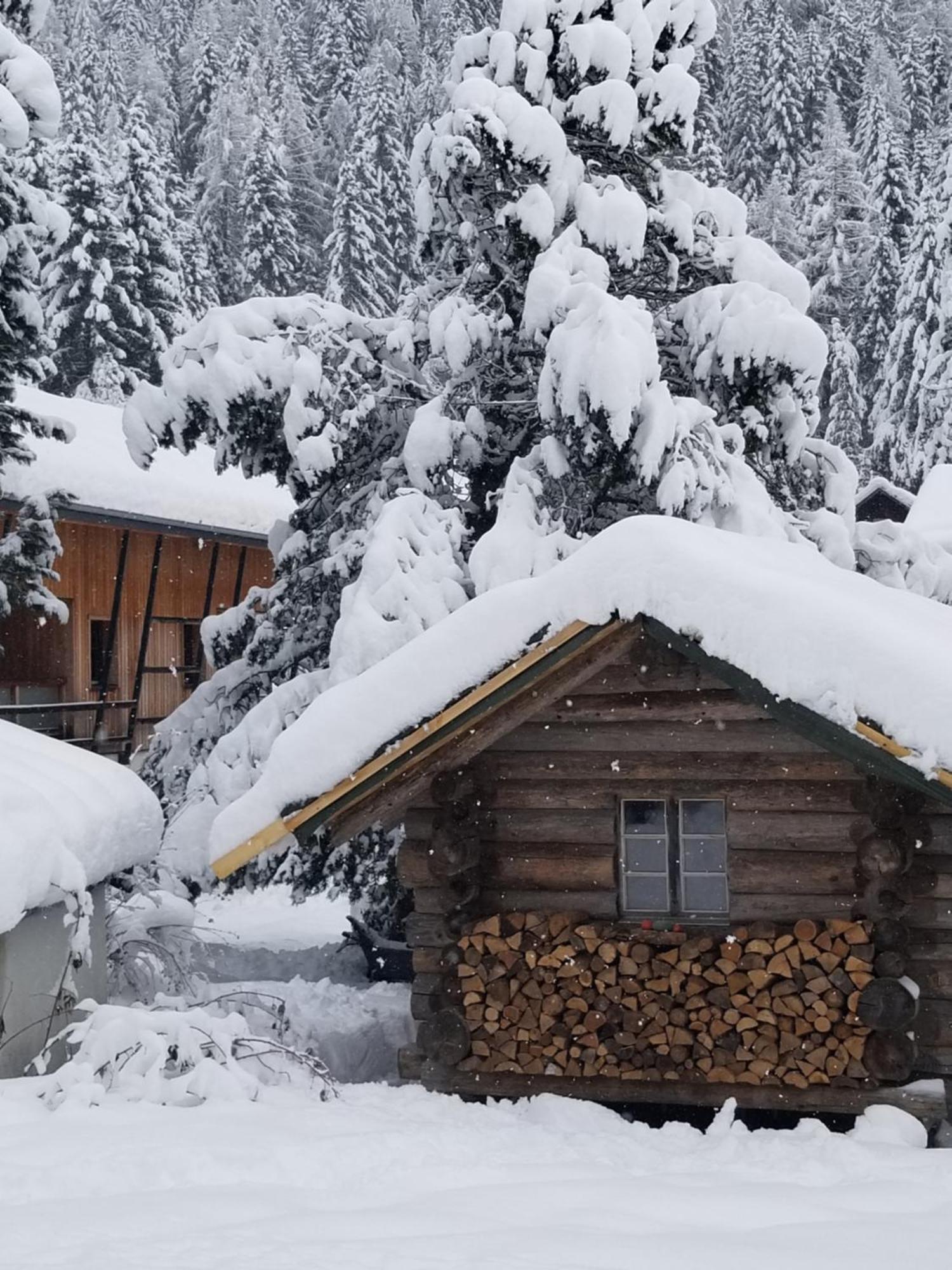 Chalet Walser A Vallorcine 13 Kms Chamonix France Dış mekan fotoğraf